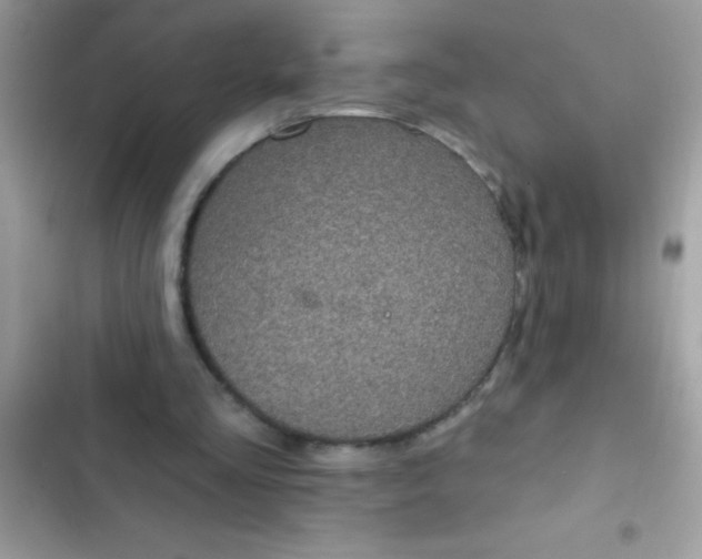 X0000102410293200808152011