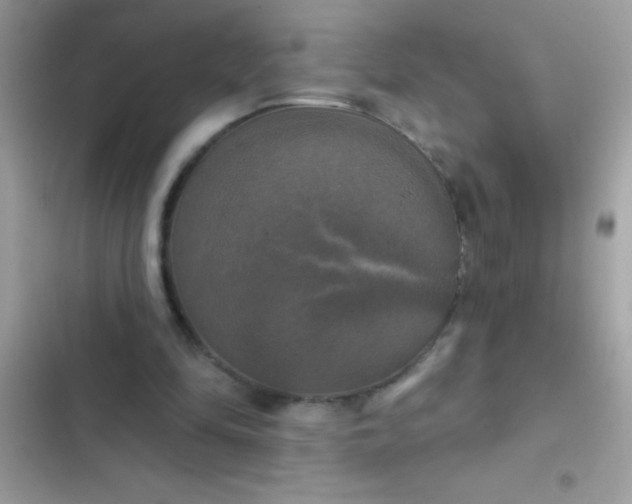 X0000102410294200808152011