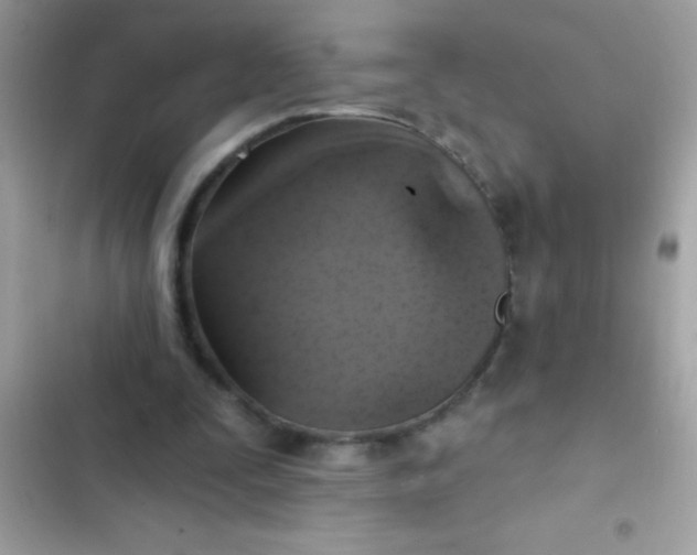 X0000102410295200808152011