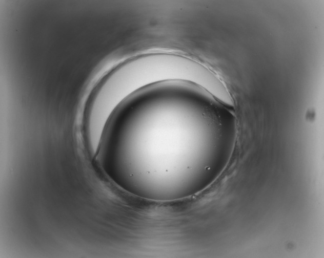 X0000102410296200808152011