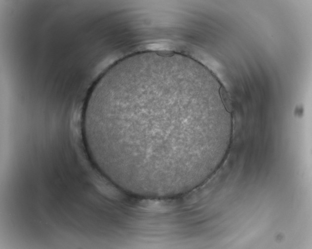 X0000102410297200808152011