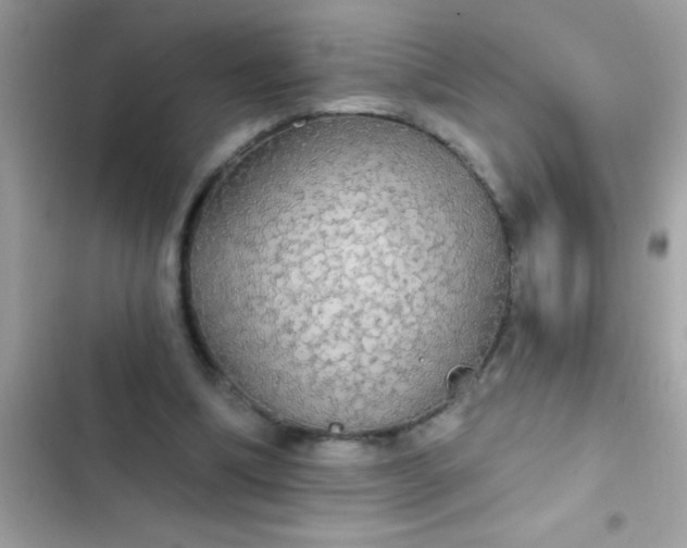 X0000102410298200808152011