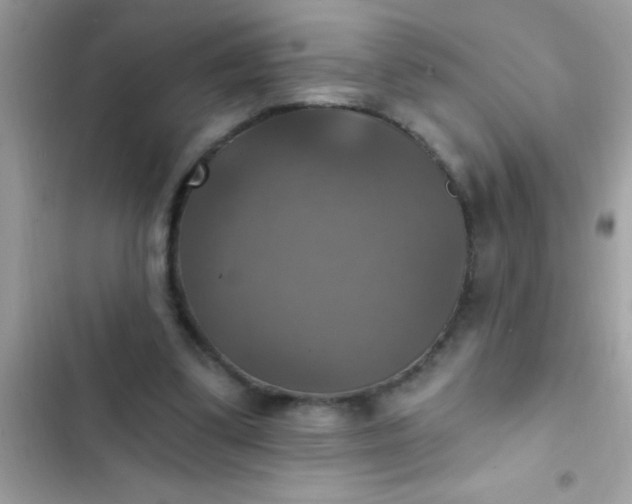 X0000102410299200808152011