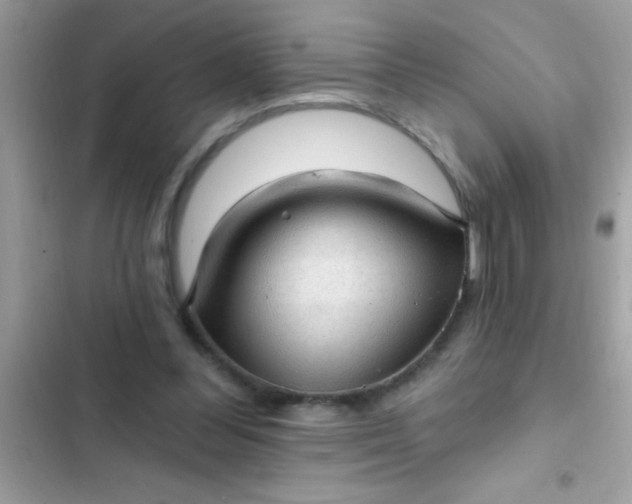 X0000102410300200808152011