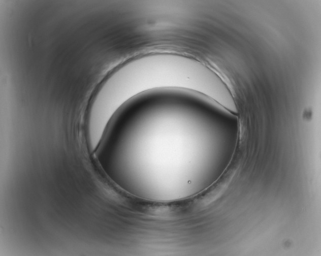 X0000102410301200808152011