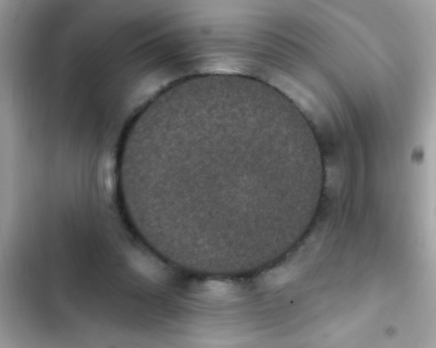 X0000102410302200808152011