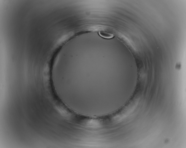 X0000102410303200808152011