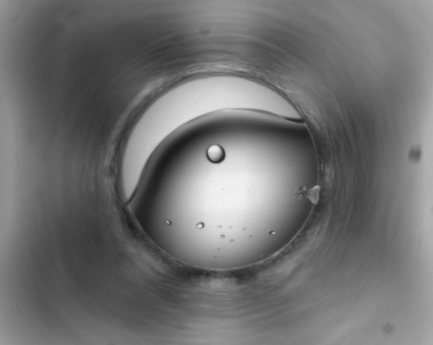 X0000102410304200808152011