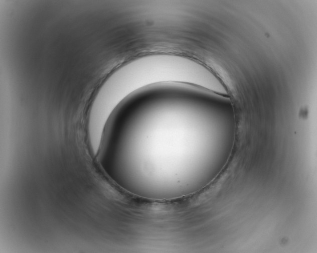 X0000102410305200808152011