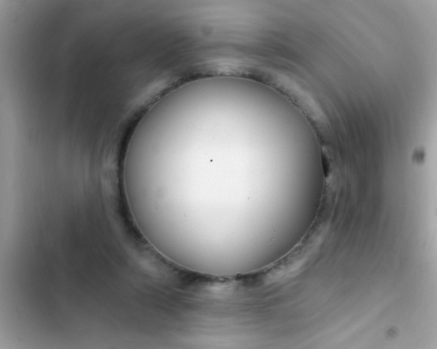 X0000102410306200808152011