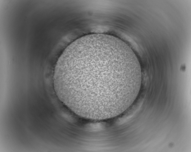 X0000102410307200808152011