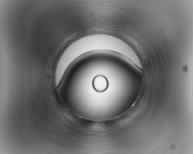 X0000102410308200808152011