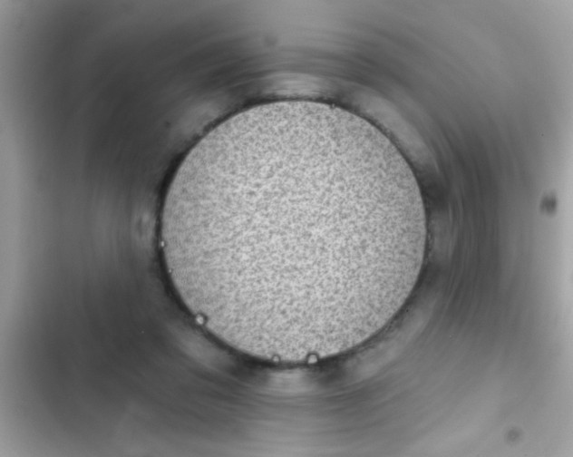 X0000102410309200808152011