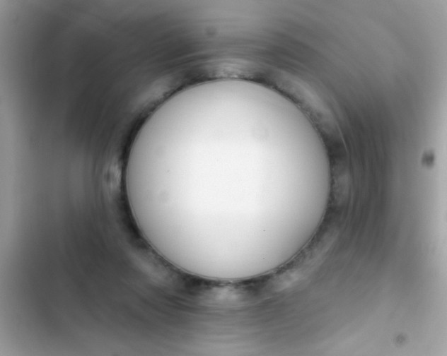 X0000102410310200808152011