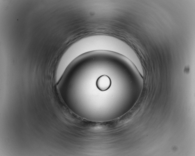 X0000102410312200808152011