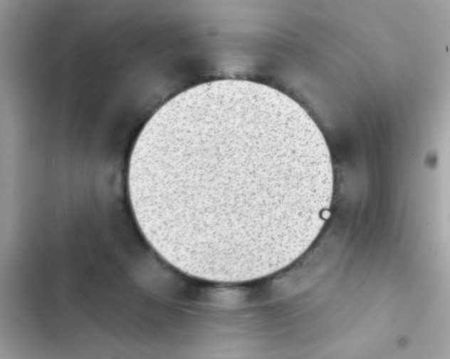 X0000102410313200808152011