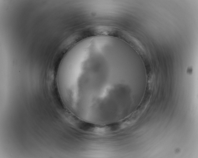 X0000102410314200808152011