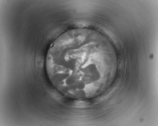 X0000102410315200808152011