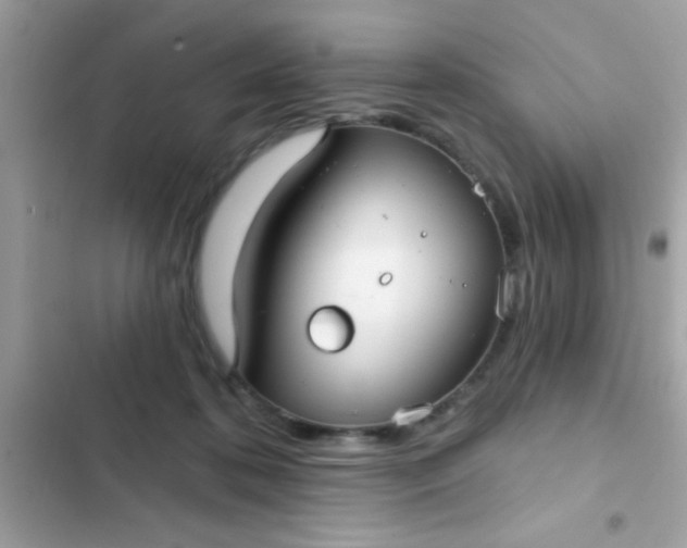 X0000102410316200808152011