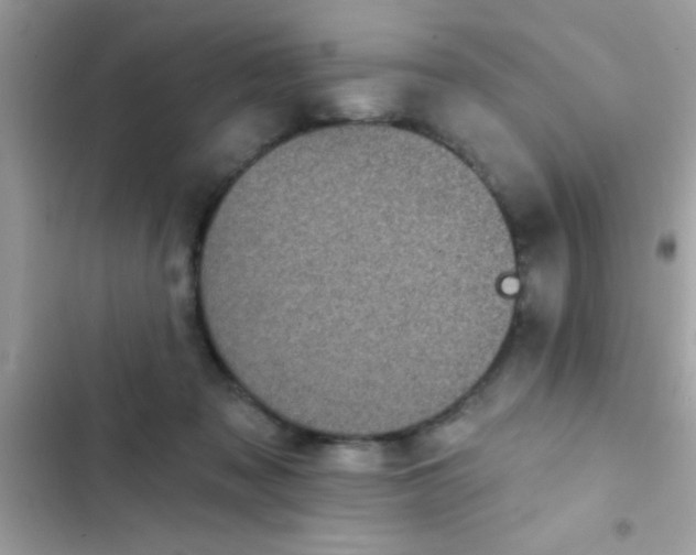 X0000102410317200808152011