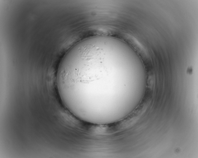 X0000102410318200808152011