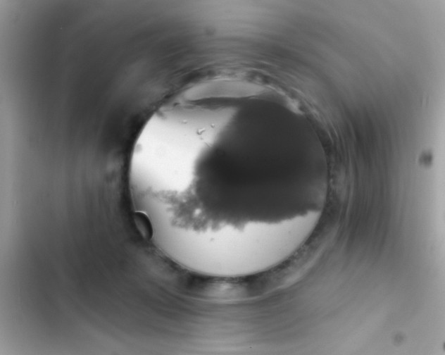 X0000102410319200808152011