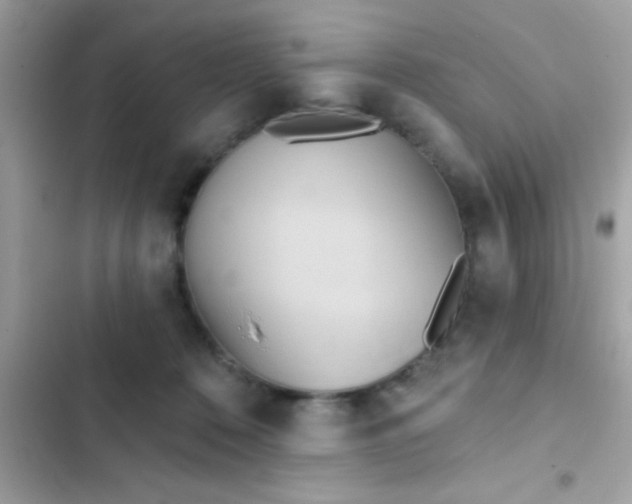 X0000102410320200808152011