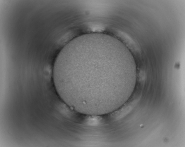 X0000102410321200808152011