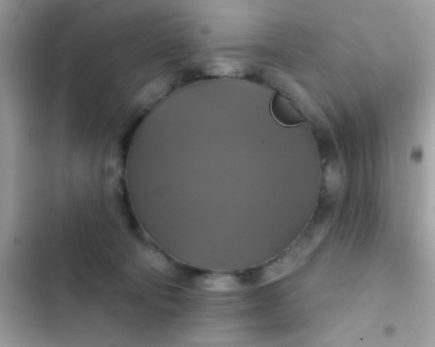 X0000102410322200808152011