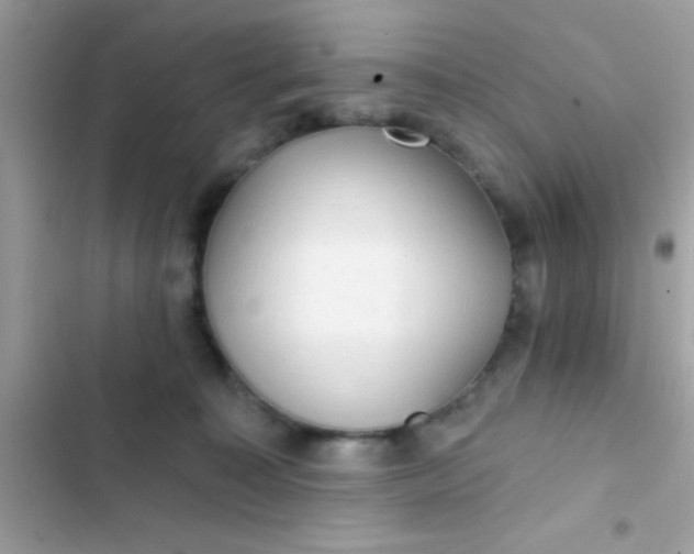 X0000102410323200808152011