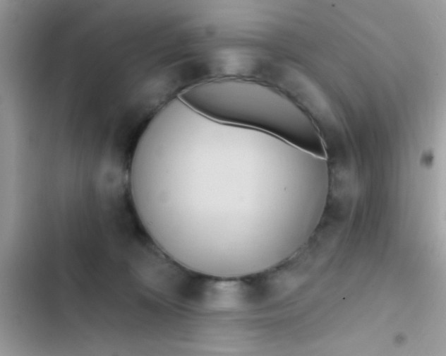 X0000102410324200808152011