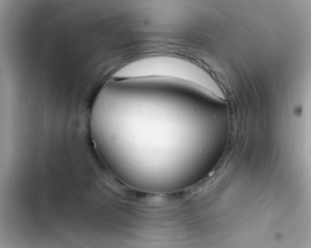 X0000102410325200808152011