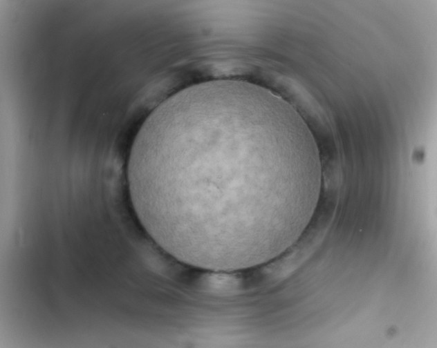 X0000102410327200808152011