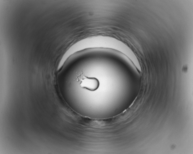 X0000102410328200808152011