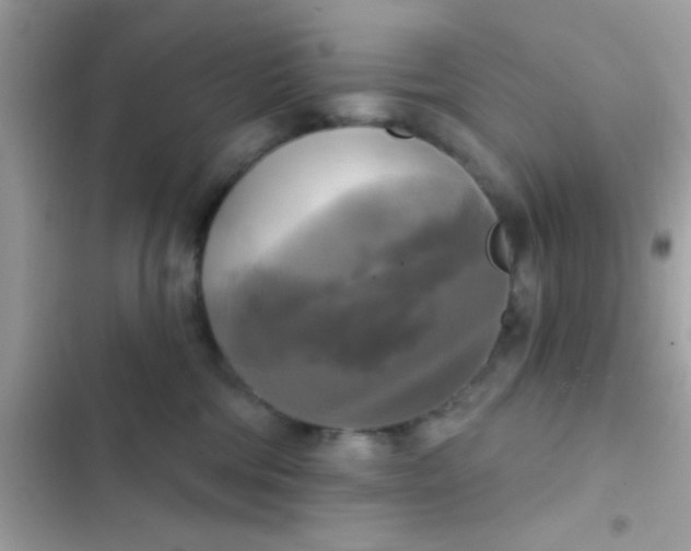 X0000102410330200808152011