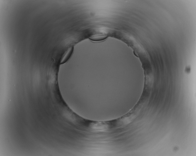 X0000102410331200808152011