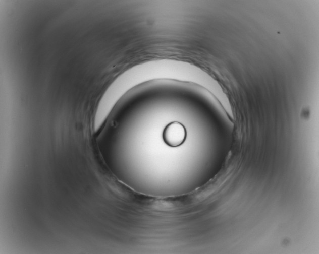 X0000102410332200808152011