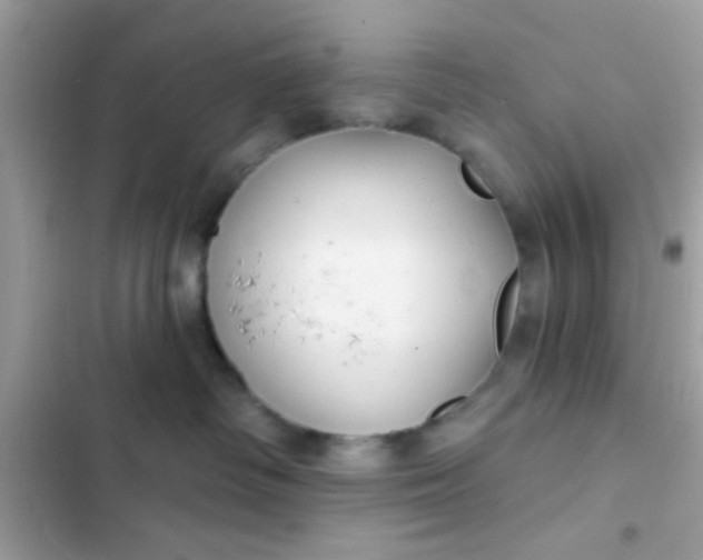 X0000102410334200808152011