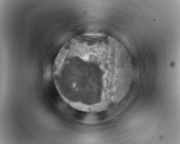 X0000102410335200808152011