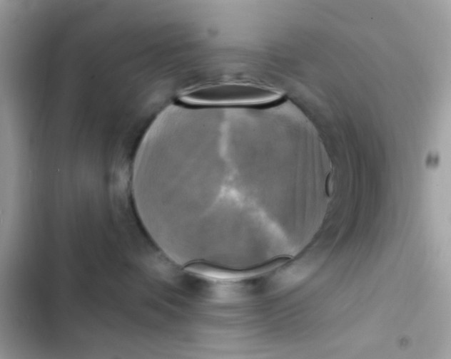 X0000102410336200808152011