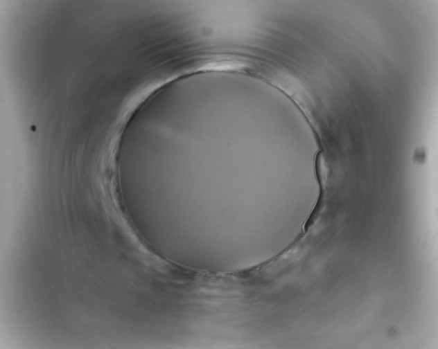 X0000102410337200808152010