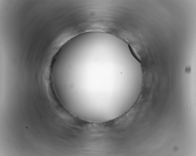 X0000102410338200808152010