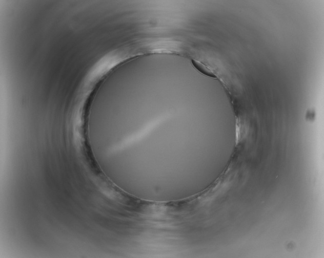 X0000102410339200808152010