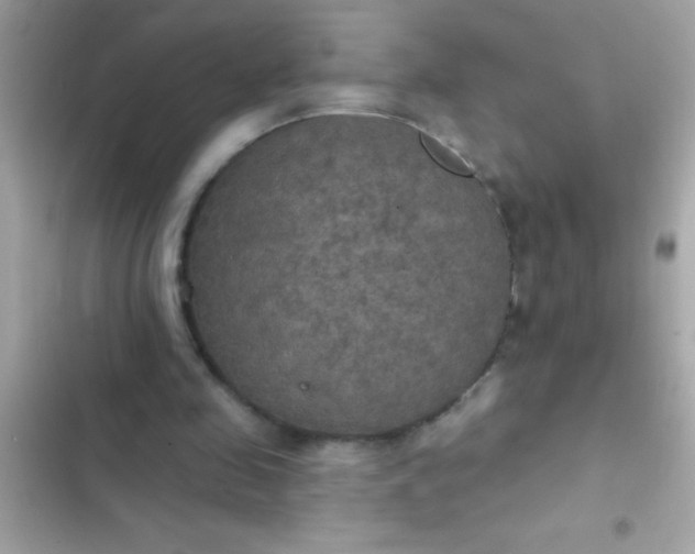 X0000102410341200808152010