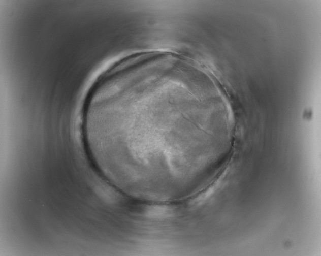 X0000102410342200808152010