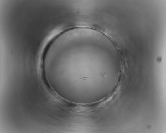 X0000102410343200808152010