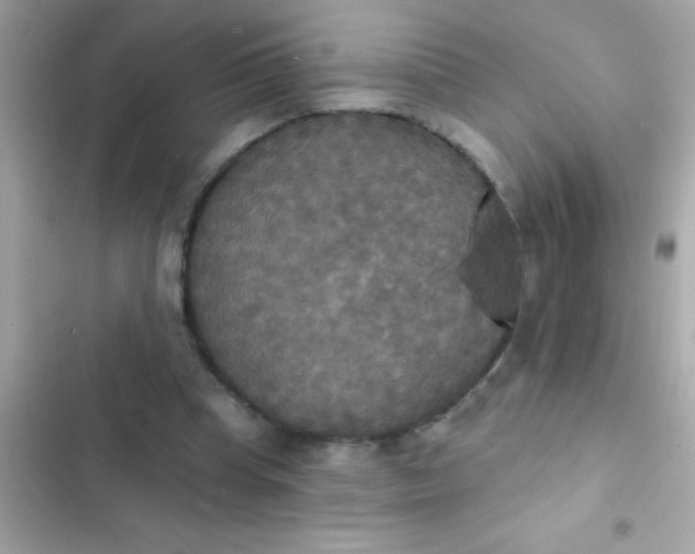 X0000102410345200808152010