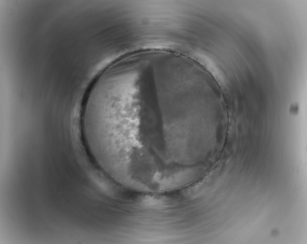 X0000102410346200808152010