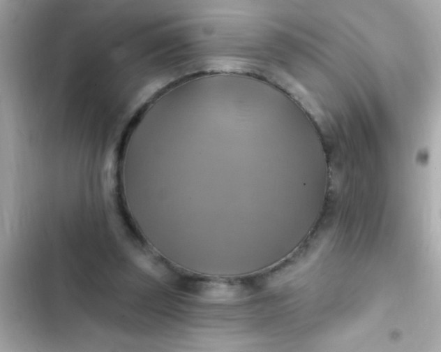 X0000102410347200808152010