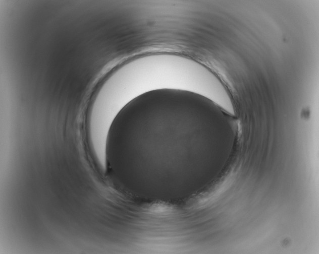 X0000102410348200808152010